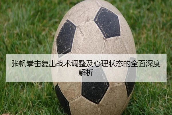 张帆拳击复出战术调整及心理状态的全面深度解析